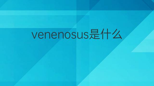 venenosus是什么意思 venenosus的翻译、读音、例句、中文解释