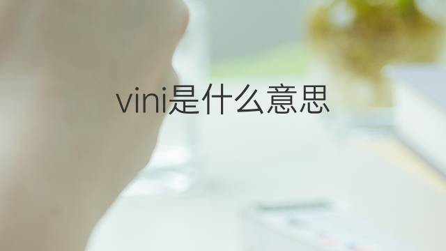 vini是什么意思 vini的翻译、读音、例句、中文解释