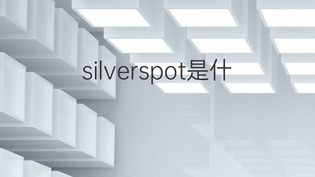 silverspot是什么意思 silverspot的翻译、读音、例句、中文解释