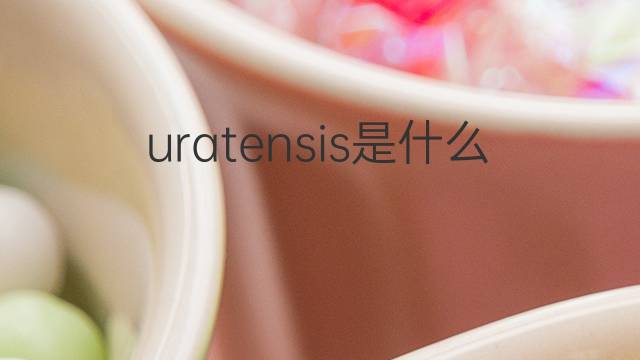 uratensis是什么意思 uratensis的翻译、读音、例句、中文解释