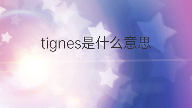 tignes是什么意思 tignes的翻译、读音、例句、中文解释