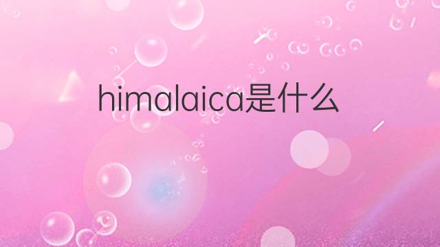 himalaica是什么意思 himalaica的翻译、读音、例句、中文解释