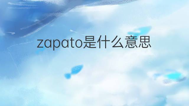zapato是什么意思 zapato的翻译、读音、例句、中文解释
