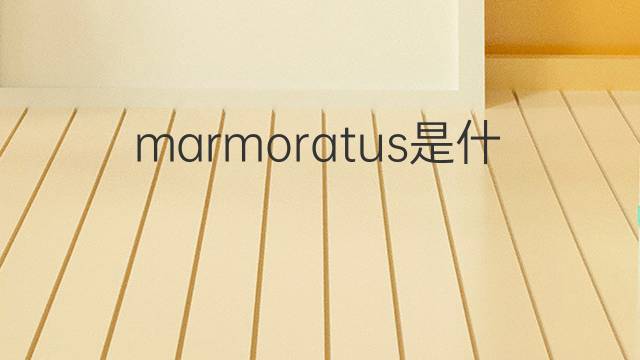 marmoratus是什么意思 marmoratus的翻译、读音、例句、中文解释