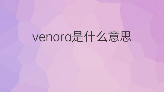 venora是什么意思 venora的翻译、读音、例句、中文解释