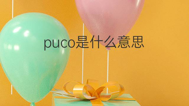 puco是什么意思 puco的翻译、读音、例句、中文解释