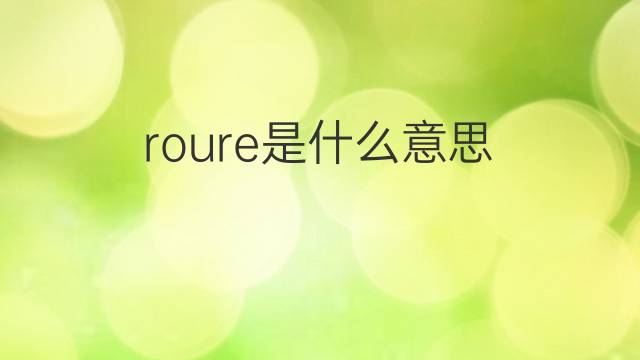 roure是什么意思 roure的翻译、读音、例句、中文解释