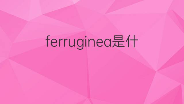 ferruginea是什么意思 ferruginea的翻译、读音、例句、中文解释