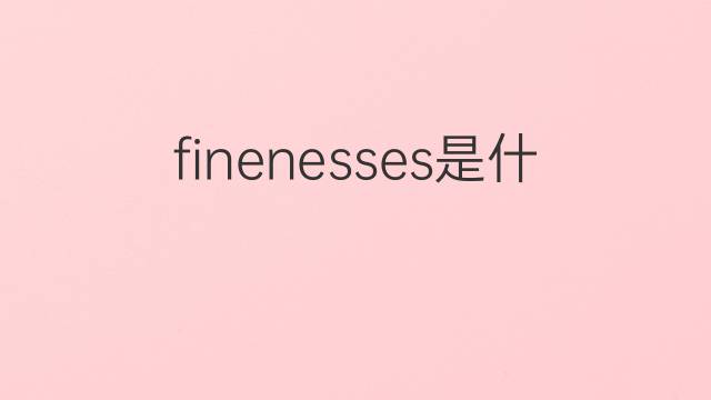 finenesses是什么意思 finenesses的翻译、读音、例句、中文解释