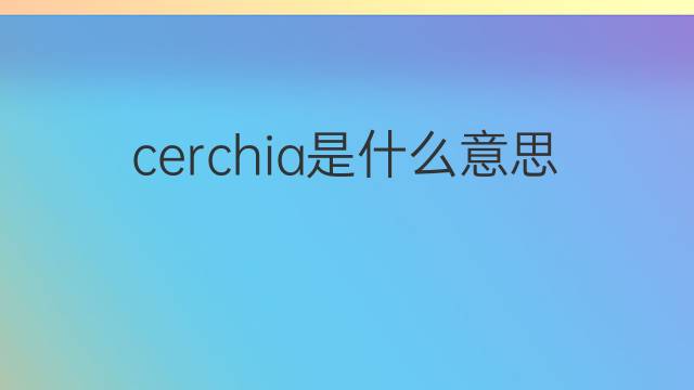 cerchia是什么意思 cerchia的翻译、读音、例句、中文解释