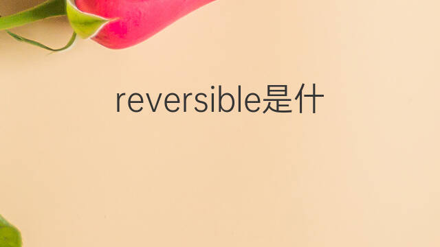 reversible是什么意思 reversible的翻译、读音、例句、中文解释