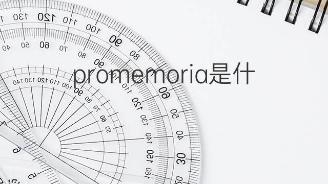 promemoria是什么意思 promemoria的翻译、读音、例句、中文解释