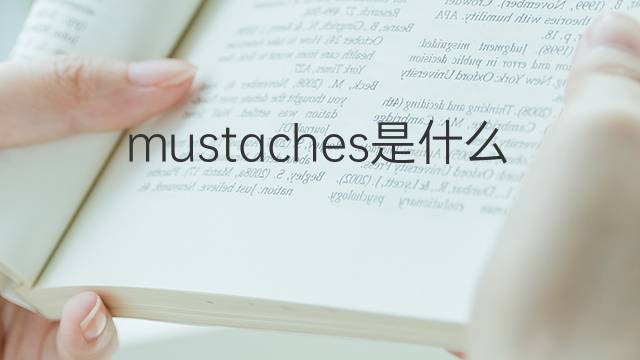 mustaches是什么意思 mustaches的翻译、读音、例句、中文解释