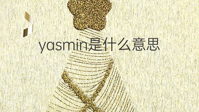 yasmin是什么意思 yasmin的翻译、读音、例句、中文解释