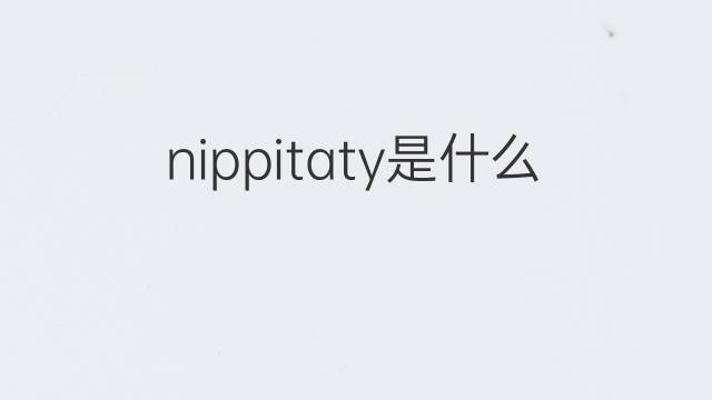 nippitaty是什么意思 nippitaty的翻译、读音、例句、中文解释