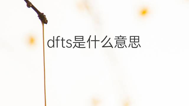 dfts是什么意思 dfts的翻译、读音、例句、中文解释