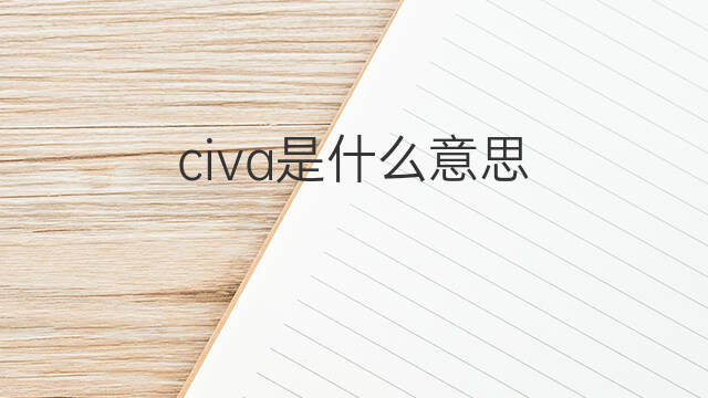 civa是什么意思 civa的翻译、读音、例句、中文解释