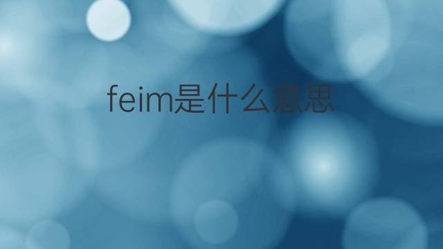 feim是什么意思 feim的翻译、读音、例句、中文解释
