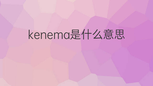 kenema是什么意思 kenema的翻译、读音、例句、中文解释
