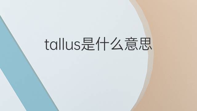 tallus是什么意思 tallus的翻译、读音、例句、中文解释