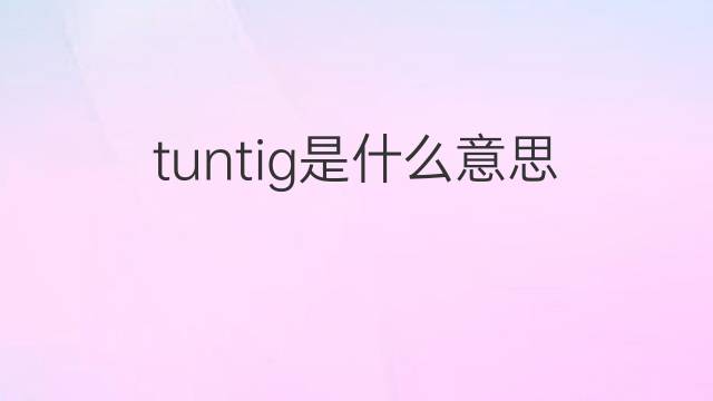 tuntig是什么意思 tuntig的翻译、读音、例句、中文解释