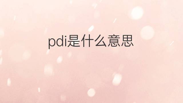 pdi是什么意思 pdi的翻译、读音、例句、中文解释