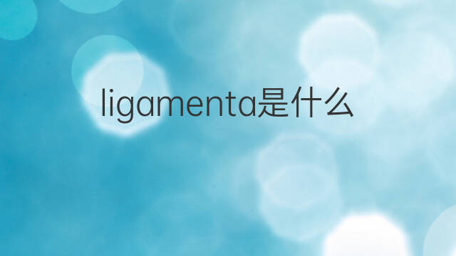 ligamenta是什么意思 ligamenta的翻译、读音、例句、中文解释