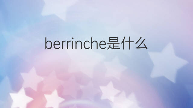 berrinche是什么意思 berrinche的翻译、读音、例句、中文解释