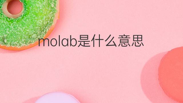 molab是什么意思 molab的翻译、读音、例句、中文解释
