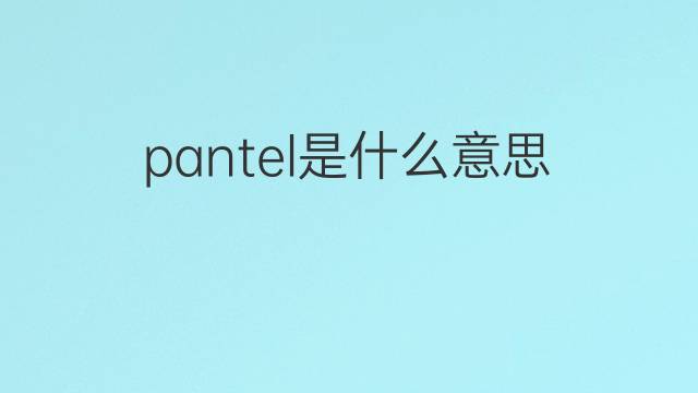 pantel是什么意思 pantel的翻译、读音、例句、中文解释