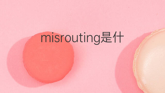 misrouting是什么意思 misrouting的翻译、读音、例句、中文解释