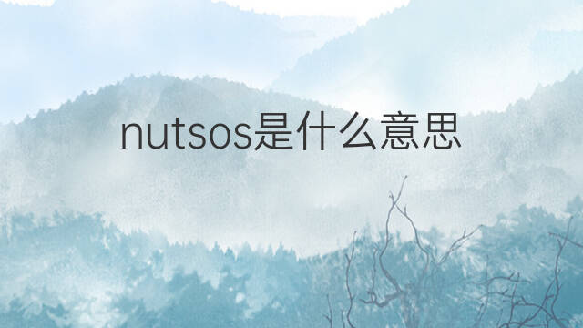 nutsos是什么意思 nutsos的翻译、读音、例句、中文解释