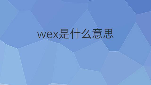 wex是什么意思 wex的翻译、读音、例句、中文解释