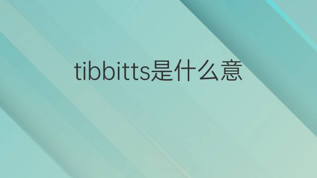 tibbitts是什么意思 tibbitts的翻译、读音、例句、中文解释