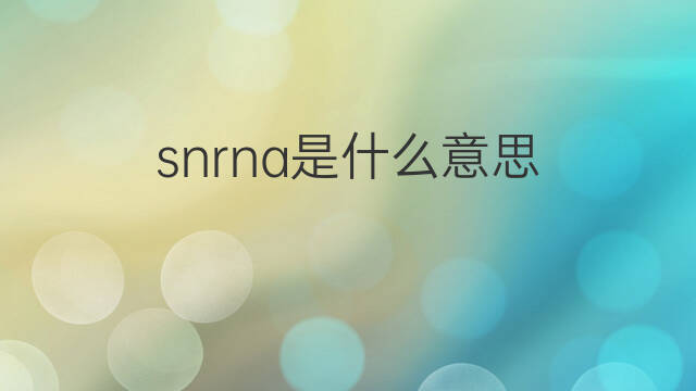 snrna是什么意思 snrna的翻译、读音、例句、中文解释