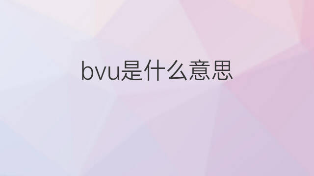 bvu是什么意思 bvu的翻译、读音、例句、中文解释
