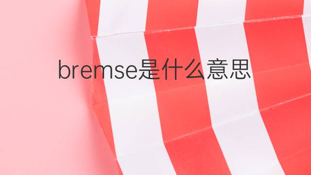 bremse是什么意思 bremse的翻译、读音、例句、中文解释
