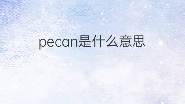 pecan是什么意思 pecan的翻译、读音、例句、中文解释