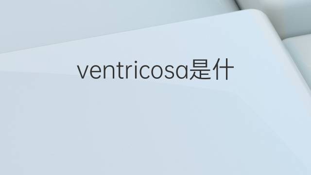 ventricosa是什么意思 ventricosa的翻译、读音、例句、中文解释
