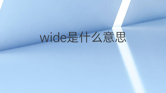 wide是什么意思 wide的翻译、读音、例句、中文解释