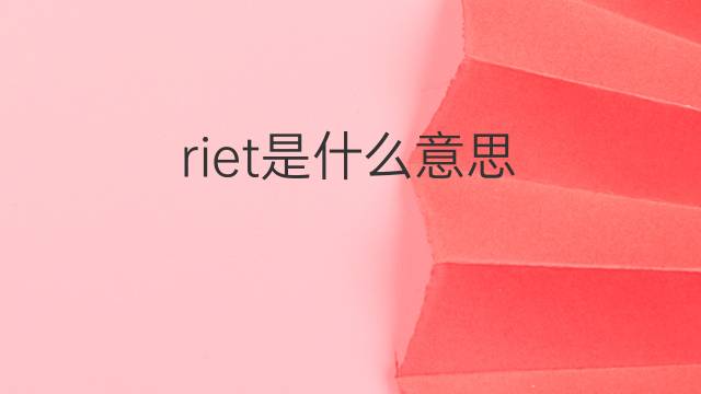 riet是什么意思 riet的翻译、读音、例句、中文解释