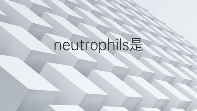 neutrophils是什么意思 neutrophils的翻译、读音、例句、中文解释