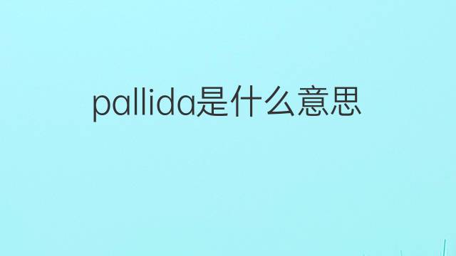 pallida是什么意思 pallida的翻译、读音、例句、中文解释