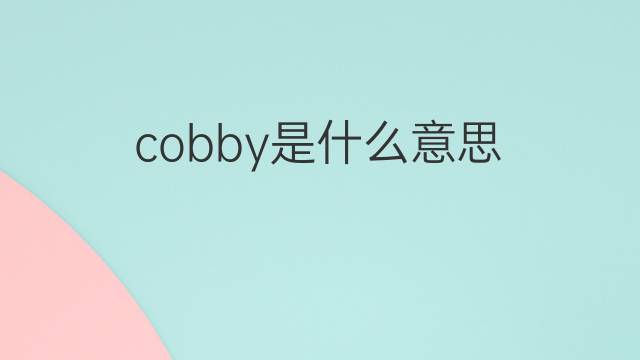cobby是什么意思 cobby的翻译、读音、例句、中文解释