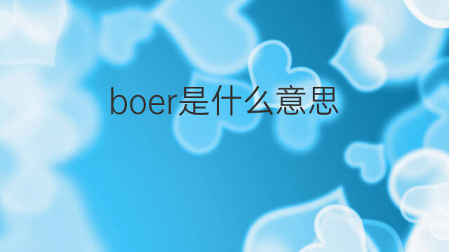 boer是什么意思 boer的翻译、读音、例句、中文解释