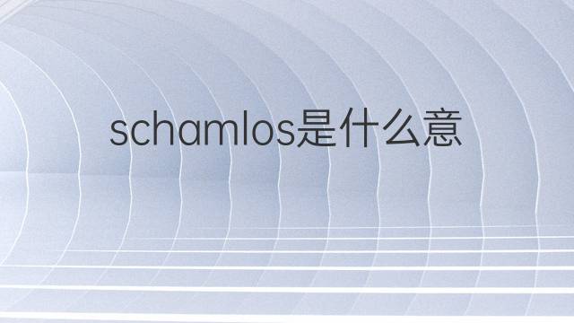 schamlos是什么意思 schamlos的翻译、读音、例句、中文解释