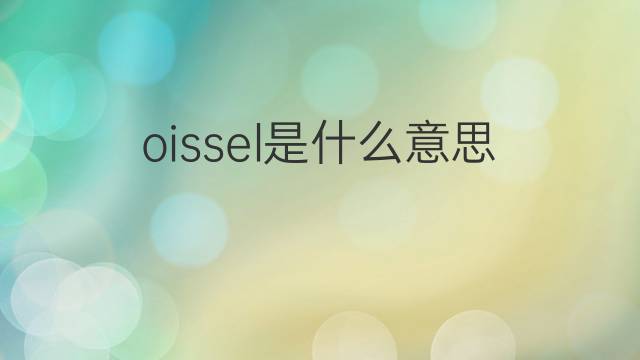 oissel是什么意思 oissel的翻译、读音、例句、中文解释