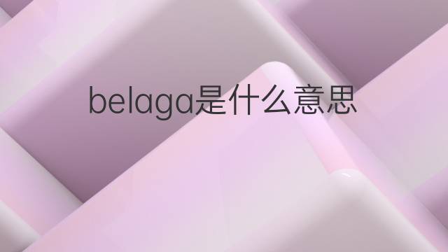 belaga是什么意思 belaga的翻译、读音、例句、中文解释