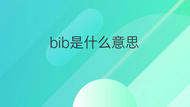 bib是什么意思 bib的翻译、读音、例句、中文解释