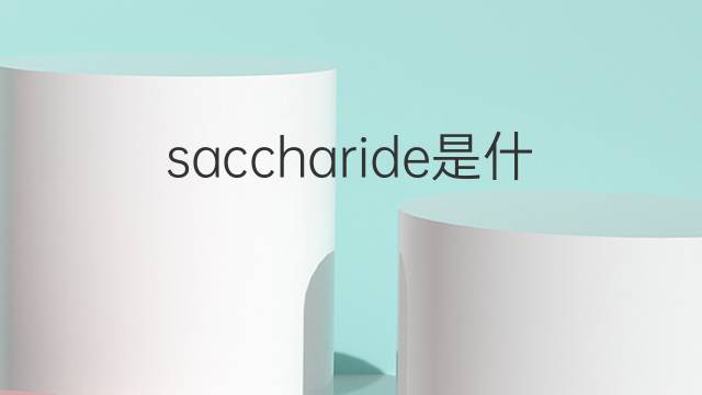 saccharide是什么意思 saccharide的翻译、读音、例句、中文解释